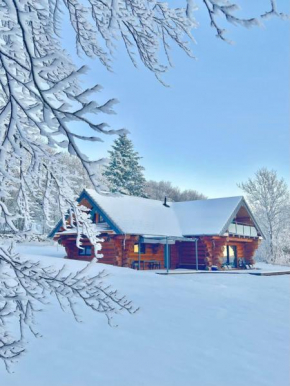 Wood log chalet